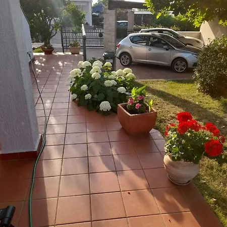 Iva Apartment Porec