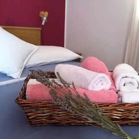 Apartment Iva