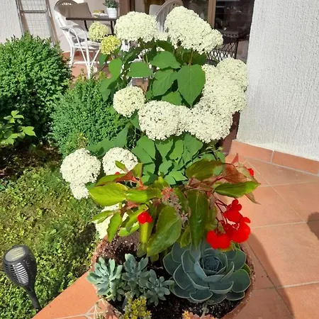 Apartman Iva Poreč