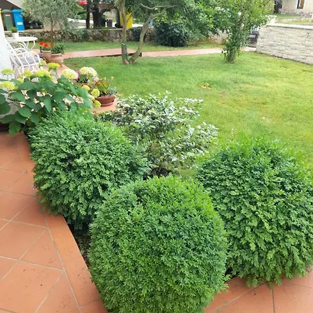 Iva Apartament *